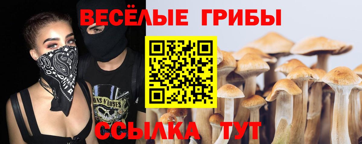 Горячий Ключ  Псилоцибиновые грибы Psilocybine cubensis  Вход с VPN  Псилоцибиновые грибы GOLDEN TEACHER 
